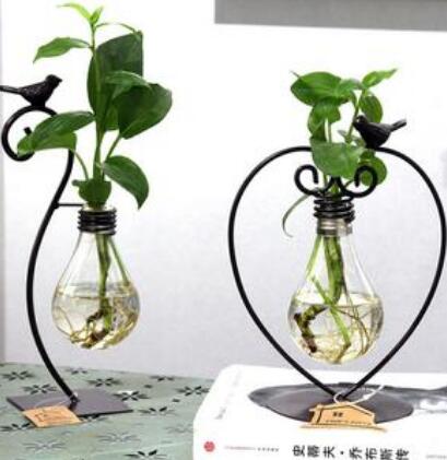 Hydroponic Plant Vessel Indoor