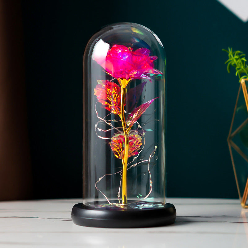 Preserved Flower Glass Cover Rose