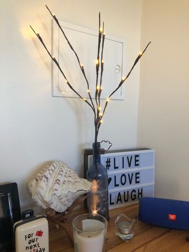 Twigs Light String Decoration Living