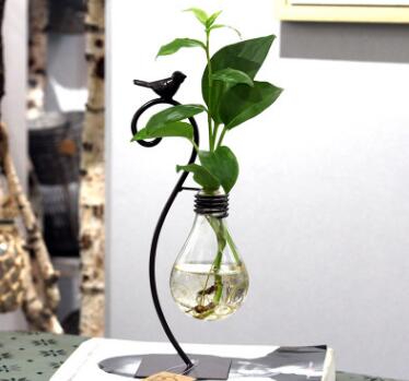 Hydroponic Plant Vessel Indoor